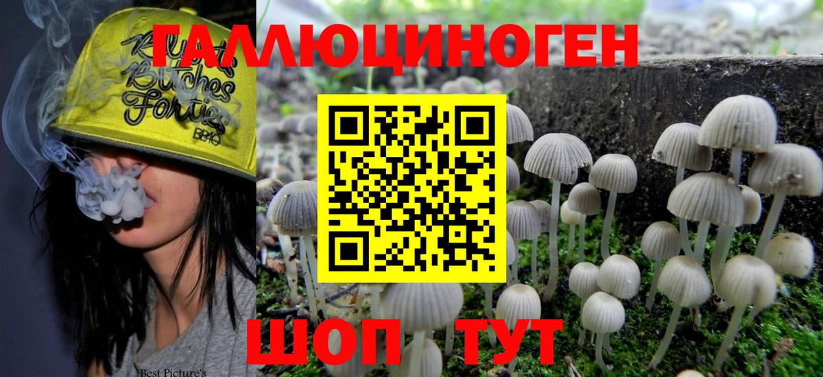 Псилоцибиновые грибы Magic Shrooms  Вход с VPN  Павлово 